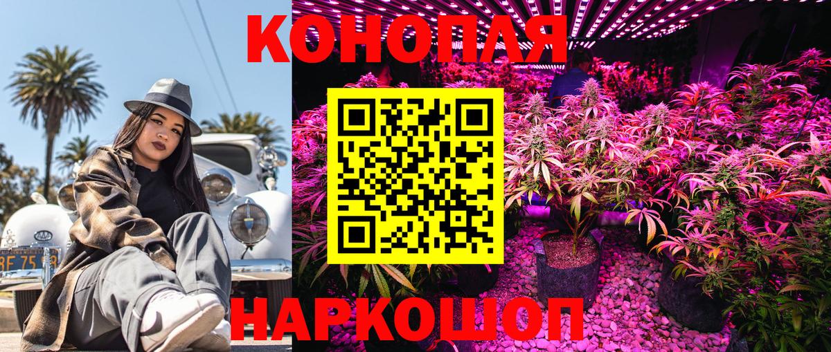 Марихуана ГИДРОПОН  Каннабис SATIVA & INDICA  Каннабис Amnesia  Благовещенск  Вход с VPN 